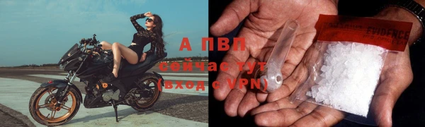 стаф Алексин
