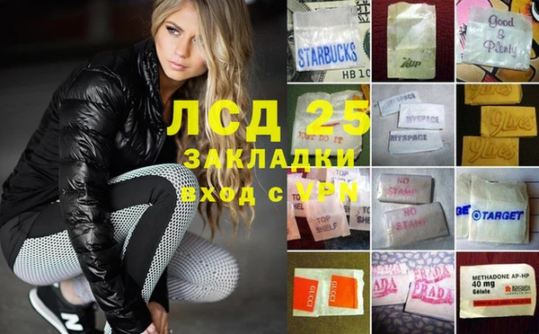 стаф Алексин