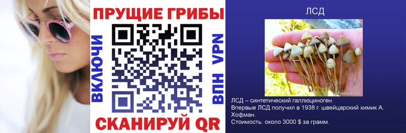 даркнет какой сайт  продажа наркотиков  Ишимбай  Псилоцибиновые грибы ЛСД 